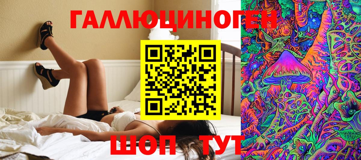 Галлюциногенные грибы Psilocybine cubensis Сыктывкар