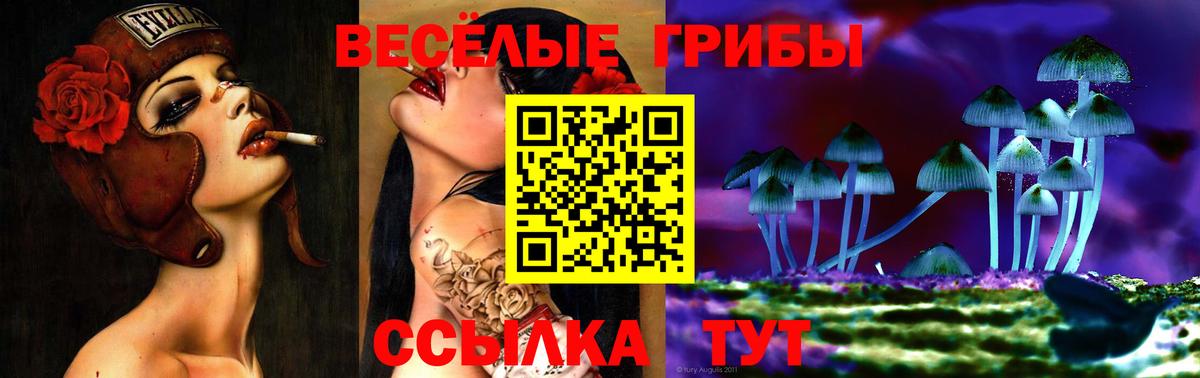 Псилоцибиновые грибы Cubensis  Вход с VPN  Сыктывкар 